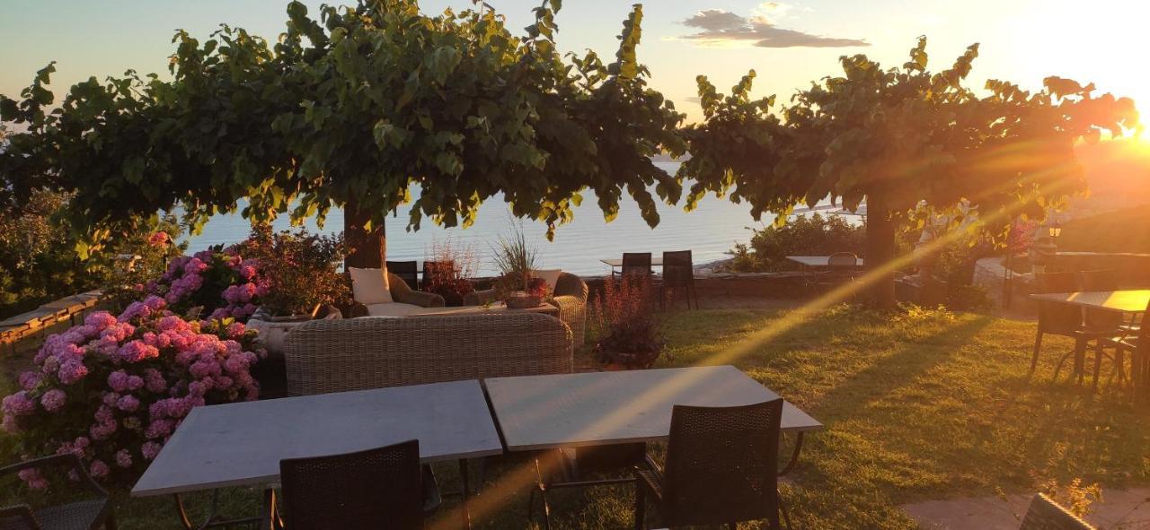 Olivenere Agriturismo Lavagna Bagian luar foto