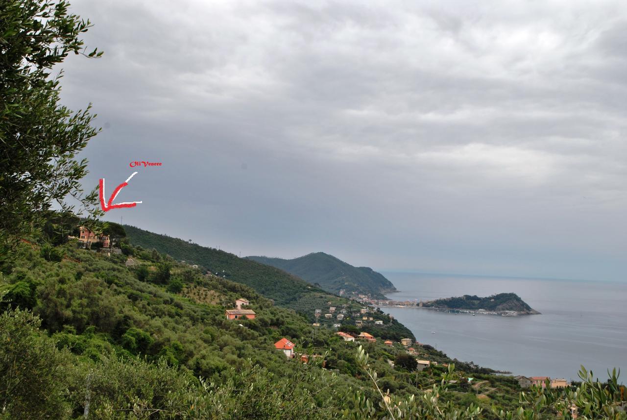 Olivenere Agriturismo Lavagna Bagian luar foto